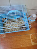 升級籠子單層倉鼠籠套裝倉鼠手提小田園外帶雙層城堡大別墅小型 小田園單層倉鼠籠-藍色 曬單實(shí)拍圖