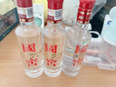 瀘州老窖 國窖1573 小酒版 43度 100ml 濃香型白酒 100ml*5瓶 曬單實(shí)拍圖
