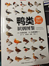 （贈鳥(niǎo)類(lèi)貼紙）觀(guān)鳥(niǎo)書(shū)套裝三冊 鴨類(lèi)識別圖鑒+中國鳥(niǎo)類(lèi)觀(guān)察手冊+鳥(niǎo)類(lèi)行為圖鑒 中國國家地理鳥(niǎo)類(lèi)百科全書(shū)科普圖鑒 曬單實(shí)拍圖