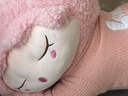 眼含淚光小羊玩偶布娃娃女生陪睡覺(jué)抱枕大號毛絨玩具女孩公仔生日禮物女生 粉色毛衣萌萌羊 1m【舒適面料，填充飽滿(mǎn)】 曬單實(shí)拍圖