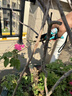 山澤園藝修枝剪家用花卉盆景造型專(zhuān)用剪刀省力果樹(shù)花園林剪9寸 YLJ01 曬單實(shí)拍圖