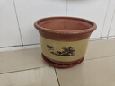 斗途園藝 紫砂花盆 紅陶土梅花盆 蘭花盆 盆景花盆  粗陶瓷花盆 帶托盤(pán) 口徑19cm 大 曬單實(shí)拍圖