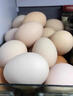 逗別三日【京東快遞】農家散養土鵝蛋新鮮超大鵝蛋孕婦高營(yíng)養現撿現發(fā) 精選超大鵝蛋6枚（130g-160g/枚） 曬單實(shí)拍圖