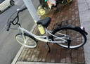 平鴿王共享單車(chē)同款實(shí)心胎自行車(chē)小黃車(chē)24寸/26寸免充氣ofo成人學(xué)生單車(chē) 【共享單車(chē)同款】白色-實(shí)心胎免充氣 24寸【實(shí)心胎】-免充氣 曬單實(shí)拍圖