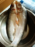 蘇城味道蘇州翹嘴白條 活殺 白水魚(yú) 淡水魚(yú) 白刁魚(yú) 海鮮水產(chǎn)低鹽 900g/2條 曬單實(shí)拍圖