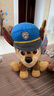 汪汪隊立大功（PAW PATROL）汪汪隊玩具毛絨全套狗狗玩偶公仔男女孩玩具旺旺隊生日禮物 7只經(jīng)典款-小號毛絨 小號-坐高約15.2CM 曬單實(shí)拍圖