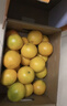 褚橙花斑果實(shí)建褚橙花斑果【旗艦直營(yíng)】云南哀牢山云冠橙新鮮水果禮盒 優(yōu)級10斤禮盒裝【果徑70mm左右】 曬單實(shí)拍圖