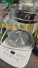 九陽(yáng)（Joyoung）0膠水養生壺 1.5L煮茶器 玻璃花茶壺 316不銹鋼燒水壺電熱水壺 WY301 曬單實(shí)拍圖