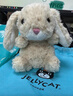 Jellycat米色甜美小兔小短腿公仔動(dòng)物毛絨玩偶娃娃生日新年禮物 甜美小兔 One Size 曬單實(shí)拍圖