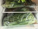 京鮮生 云南現摘新鮮韭菜餃子餡凈重5斤 農家自種 新鮮蔬菜源頭直發(fā)包郵 曬單實(shí)拍圖