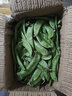 云南新鮮現摘蔬菜豌豆角甜脆荷蘭豆四季豆當季農家自種蔬菜脆嫩 荷蘭豆1斤帶箱凈重0.8斤 曬單實(shí)拍圖