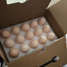 1號會(huì )員店可生食雞蛋30枚凈重3.6斤精選大碼蛋禮盒裝 源頭直發(fā) 曬單實(shí)拍圖