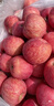 京農超山東煙臺紅富士蘋(píng)果 水果新鮮當季生鮮 脆甜多汁山東特產(chǎn)脆甜整箱 紅富士80-85mm 凈重8.5斤 曬單實(shí)拍圖