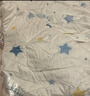 水星兒童棉被子棉花被子冬季被芯A類(lèi)新疆棉花加厚冬被約4.5斤150*210cm 曬單實(shí)拍圖