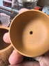 藏壺天下宜興名家黃金段泥西施壺紫砂壺純手工小茶壺單壺清風(fēng)西施 清風(fēng)西施 200ml 曬單實(shí)拍圖