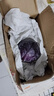 京地達山東新鮮紫甘藍紫 凈重4斤 單顆500g+包菜球起源頭直發(fā)包郵 曬單實(shí)拍圖