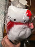 三麗鷗（SANRIO）HelloKitty凱蒂貓毛絨耳罩蝴蝶結玩偶冬季保暖防寒耳套包生日禮物 曬單實(shí)拍圖
