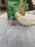 寵尚天 豪華虎皮鸚鵡鳥(niǎo)糧天然營(yíng)養谷子鳥(niǎo)食玄鳳文鳥(niǎo)牡丹鳥(niǎo)食900g 曬單實(shí)拍圖