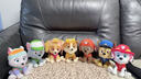 汪汪隊立大功（PAW PATROL）毛絨玩具狗狗陪睡玩偶經(jīng)典款小號坐姿可愛(ài)公仔男女孩生日禮物 曬單實(shí)拍圖