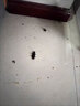 寧爾（NINGER）蟑螂藥針劑廚房家用殺蟑螂家用室內廚房殺大小蟑螂餌劑 滅防二合一殺蟑 1支【適合30平】 曬單實(shí)拍圖