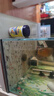 tetra七彩神仙魚(yú)專(zhuān)用顆粒魚(yú)飼料小型熱帶魚(yú)魚(yú)糧天然增色埃及燕魚(yú)食 30g 曬單實(shí)拍圖