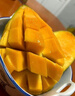 百橙戀四川攀枝花凱特芒果 新鮮大果當季時(shí)令生鮮芒果年貨送禮整箱水果 8斤大果【無(wú)禮盒】 曬單實(shí)拍圖