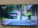 TCL雷鳥(niǎo)電視 50英寸雀4 25款 萊茵護眼雙認證 無(wú)開(kāi)機廣告 家電國家補貼電視50F195C 曬單實(shí)拍圖