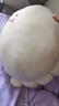 軒島生日禮物女士走心高級實(shí)用會(huì )按摩冰絲抱枕毛絨團子發(fā)熱玩偶送女生 涼感公仔抱枕【冰絲面料款】 解壓玩具出氣筒娃娃暖宮腰帶大號陪睡覺(jué)公仔小眾情人節 曬單實(shí)拍圖