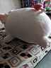 名創(chuàng  )優(yōu)品（MINISO）小豬B-BO彈力超柔趴姿毛絨公仔玩具玩偶抱靠枕娃娃送禮生日禮物女 曬單實(shí)拍圖