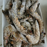 首鮮道斑節蝦特大海鮮竹節蝦鮮活急凍九節蝦生鮮蝦類(lèi)基尾蝦 80-100只 推薦款 2斤(凈重) 曬單實(shí)拍圖