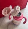 babycare兒童保溫杯嬰兒吸管水杯水壺不銹鋼保溫杯上學(xué)450ml-新舊款混發(fā) 曬單實(shí)拍圖