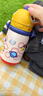 babycare兒童水杯6個(gè)月以上寶寶霸王龍不銹鋼保溫杯上學(xué)450ml-新舊款混發(fā) 曬單實(shí)拍圖
