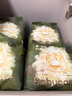 babycare金山茶花嬰兒紙尿褲mini裝L20片(9-14kg)尿不濕透氣【新老混發(fā)】 曬單實(shí)拍圖
