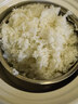 石崎成器日本 陶瓷內膽電飯煲 低糖電飯煲無(wú)涂層 家用微壓電飯鍋柴火飯土陶伊賀燒3L煮飯防溢煲湯砂鍋預約 胡椒白 3L 曬單實(shí)拍圖