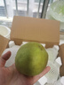順豐正宗山西運城丹霞紅香梨9斤新鮮水果當季現摘脆甜酥梨蜜梨子L 凈重3斤【順豐現摘】 曬單實(shí)拍圖