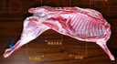 鹽臻牧場(chǎng)寧夏灘羊肉半只羊10斤生鮮分割羊腿火鍋燒烤食材年貨禮盒源頭直發(fā) 曬單實(shí)拍圖