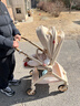 丸丫T9嬰兒推車(chē)雙向輕便可坐可躺折疊四輪避震新生兒高景觀(guān)香檳金 曬單實(shí)拍圖