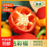 山東五彩椒生吃涼拌水果燈籠椒紅辣椒新鮮甜圓椒蔬菜青椒脆甜多汁 凈重3斤單果100g+【泡沫箱保鮮】 曬單實(shí)拍圖
