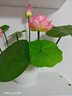 荷花仿真花小盆景人造植物室內裝飾佛堂創(chuàng  )意擺件蓮花仿真盆栽供佛 荷花粉色+白色陶瓷花盆 曬單實(shí)拍圖