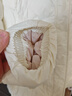 雅鹿2025新款輕薄羽絨服女舒適大碼簡(jiǎn)約百搭短款立領(lǐng)潮流寬松女士外套 米色 XL 推薦140-160斤 曬單實(shí)拍圖