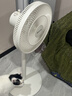 先鋒(SingFun)家用電風(fēng)扇落地扇米白風(fēng)扇節能宿舍小風(fēng)扇臺地扇空氣循環(huán)扇靜音大風(fēng)量風(fēng)扇DLD-D17 曬單實(shí)拍圖