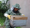 庚庚牛新款防蜂衣連體蜜蜂防護服取蜂蜜捉蜂誘蜂專(zhuān)用全套透氣采蜜衣服割 【單獨】連體防蜂服 M碼（40kg--55Kg 150cm--165cm） 曬單實(shí)拍圖