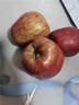甘肅天水花牛粉面蘋(píng)果新鮮水果當季整箱寶寶刮泥沙面蛇平果禮盒 5斤裝凈重4.5斤 70-75mm【中果】 曬單實(shí)拍圖