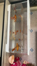 獨寵你魚(yú)缸小型客廳生態(tài)造景過(guò)濾制氧一體缸桌面金魚(yú)缸水族箱大號白色 曬單實(shí)拍圖