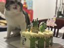 味多美 蛋糕生鮮 水果兒童奶油生日蛋糕 北京同城配送  熊貓樂(lè )園蛋糕 20cm 原味坯雜果夾心 曬單實(shí)拍圖