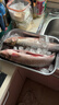 【供港基地】冰鮮 草魚(yú)1-1.25kg/條（活轉鮮） 曬單實(shí)拍圖
