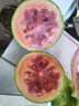 手撕小西瓜小糖丸冰激淋西瓜新鮮水果紅瓤熟瓜薄皮甜瓜孕婦禮盒 顆顆甄選-4枚禮盒裝 曬單實(shí)拍圖