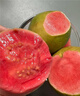 粵迎紅心芭樂(lè )軟糯番石榴潘蕃石榴新鮮紅色巴樂(lè )果廣西水果軟糯香甜好吃 4斤精選果【單果100g+】?jì)?斤 曬單實(shí)拍圖