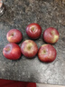 京覓四川大涼山鹽源丑蘋(píng)果 6枚 單果70mm+ 水果蘋(píng)果 源頭直發(fā) 曬單實(shí)拍圖