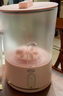 LOYK德國洗衣杯內衣洗襪子神器內衣內褲洗衣機雙桶襪子充電免安裝小型迷你宿舍便攜式半自動(dòng)懶人清洗機 薔薇粉雙杯款【免安裝+6維波輪洗+2大清洗模式】 曬單實(shí)拍圖